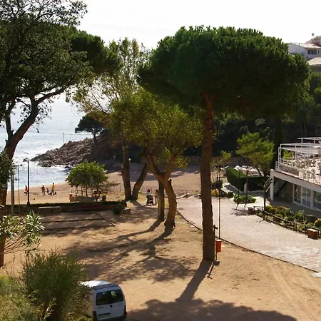 Lejlighed Apartamento Cala Salionc Playa Frente A La Playa *